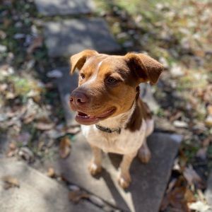 Meet your Posher, Caleb